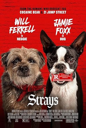 Kulağı Kesikler – Strays