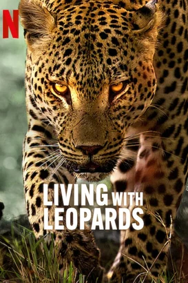 Leoparlarla Yaşam – Living with Leopards (2024)