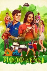 Diamond in the Rough 2022 izle