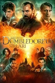 Fantastik Canavarlar: Dumbledore’un Sırları 2022 izle
