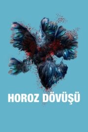 Horoz Dövüşü 2022 izle