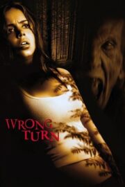 Korku Kapanı 1 ( 2003 ) Türkçe Dublaj izle