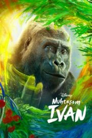 Muhteşem Ivan 2020 Türkçe Dublaj Film izle