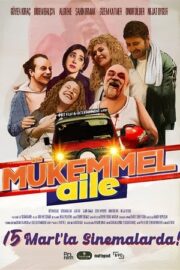 Mükemmel Aile 2024 izle