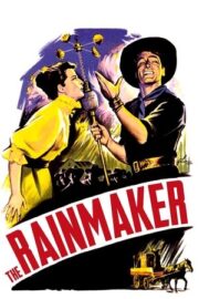 The Rainmaker (Yağmurcu) Türkçe Dublaj izle