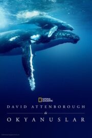 David Attenborough ile Okyanuslar 2025 izle