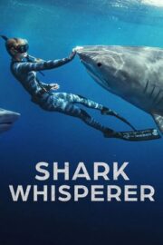 Köpek Balıklarına Fısıldayan Kadın 2025 Shark Whisperer izle