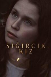 Sığırcık Kız 2023 The Starling Girl izle