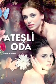 Ateşli Oda 2010 izle